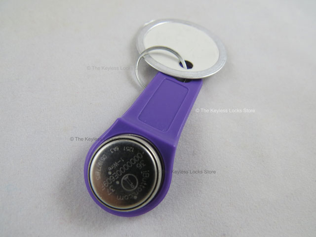 Eternity iButton Key Tags - Click Image to Close