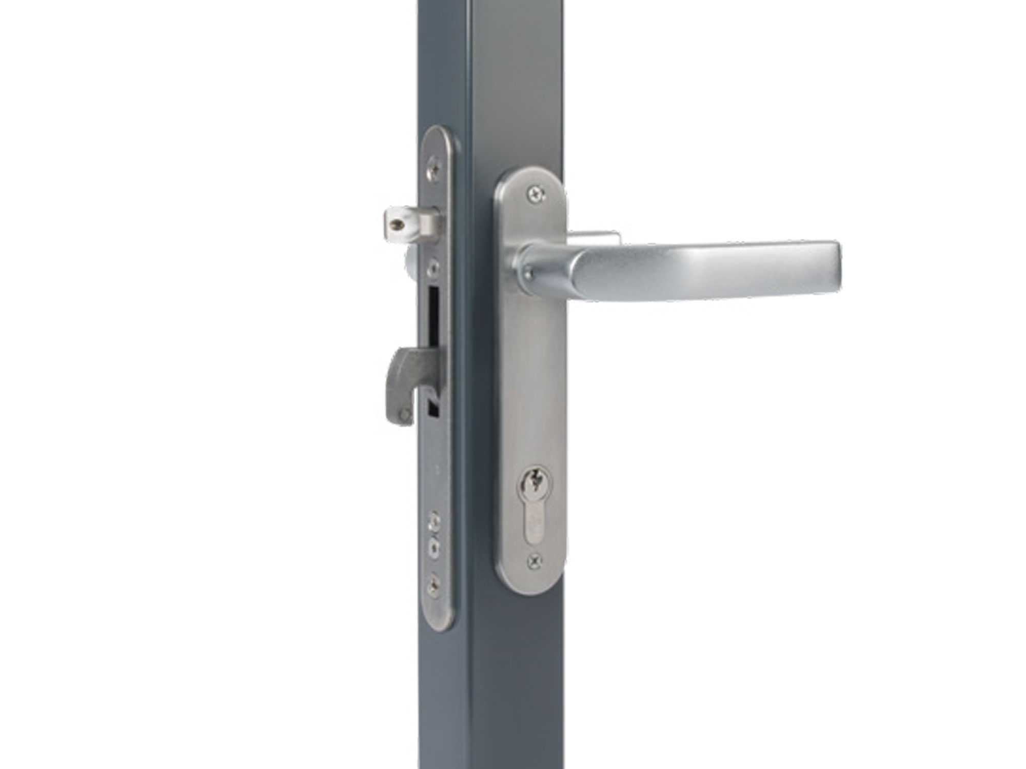 Locinox FIFTYLOCK - Mortised lock with 30 mm (1-3/16”) Backset
